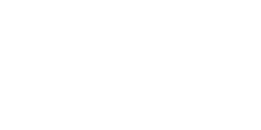 Logo SFR Blanc
